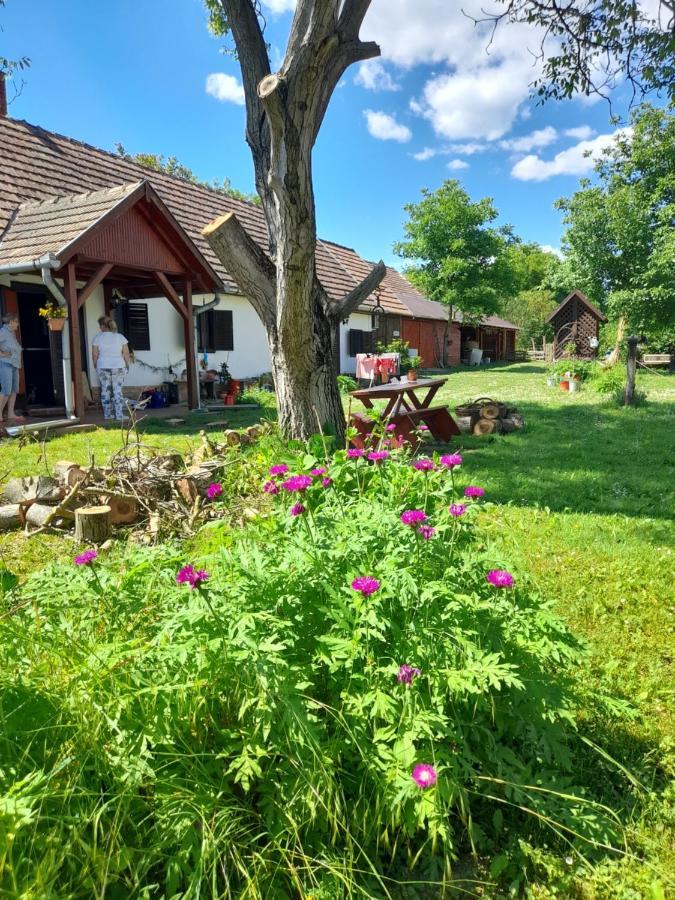 Villa Harmat Porta Galambok Esterno foto